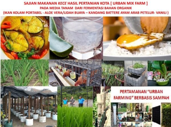 Urban Mix Farm